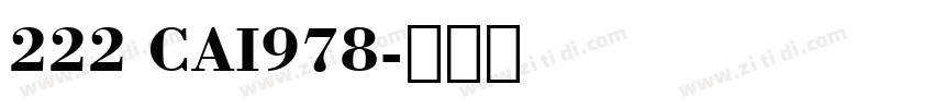 222 CAI978字体转换